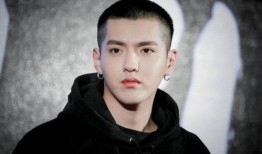 杨紫肖战八卦爆料视频大全,揭秘明星幕后八卦，视频大全大揭秘